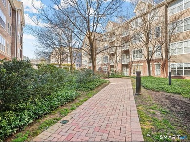 Downtown Stamford Living at Its Best! This fantastic 2-bed - photo 4