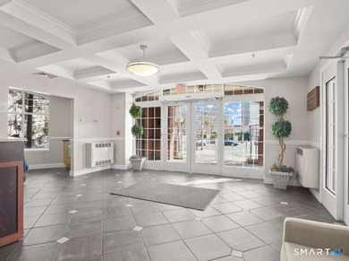 Downtown Stamford Living at Its Best! This fantastic 2-bed - photo 8