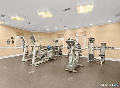Downtown Stamford Living at Its Best! This fantastic 2-bed - photo 9