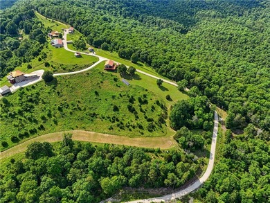 Expansive Ozark views define this custom 1,500sq residence on 9 - photo 33