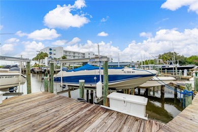 Direct Riverfront Condo, COMPLETE/PERFECT REMODEL, Deeded Boat - photo 33