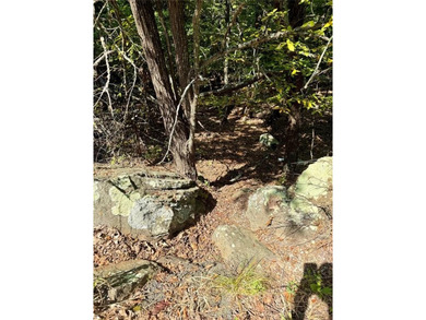 Now offered at an even better value, this .49-acre lake view lot - photo 3