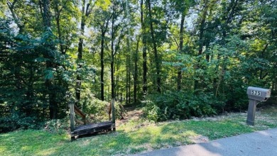 A quaint rough river cottage sitting on 3 lake lots! Call Josh! - photo 5