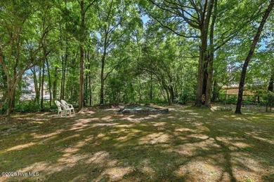 RARE ICWW ACCESS AT YOUR DOORSTEP! Welcome to your opportunity - photo 45