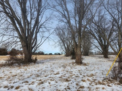 Lake Lot For Sale in Varna, Illinois