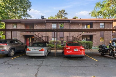 Beautiful lakefront condo in serene setting, close to everything - photo 44