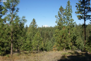 Lake Acreage For Sale in Goldendale, Washington
