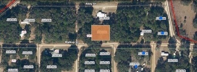 Lake Grandin Lot For Sale in Interlachen Florida