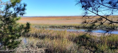 The only waterfront homesite available in Sommerset Point - photo 4