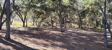 The only waterfront homesite available in Sommerset Point - photo 5