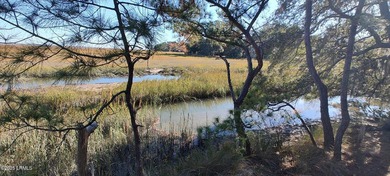 The only waterfront homesite available in Sommerset Point - photo 6
