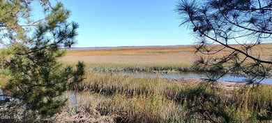 The only waterfront homesite available in Sommerset Point - photo 7