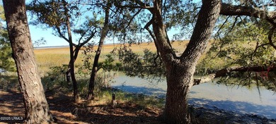 The only waterfront homesite available in Sommerset Point - photo 8