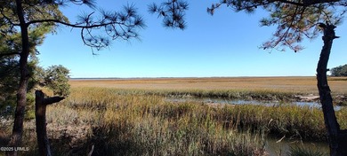 The only waterfront homesite available in Sommerset Point - photo 9