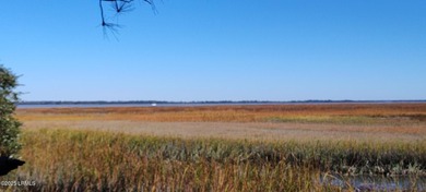 The only waterfront homesite available in Sommerset Point - photo 10