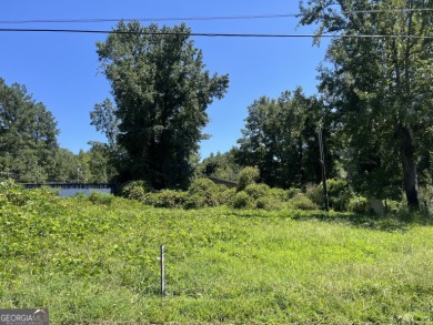 Lake Lot For Sale in Conyers, Georgia