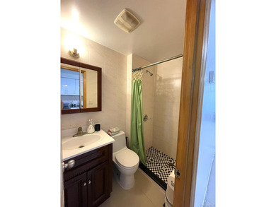 Exquisite Flushing Residence - A Rare Gem! Discover this - photo 5