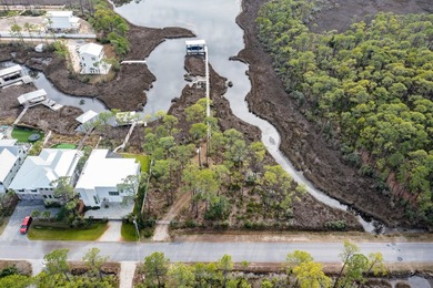 Beautiful waterfront lot, on protected area of Hogtown Bayou - photo 2
