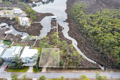 Beautiful waterfront lot, on protected area of Hogtown Bayou - photo 3