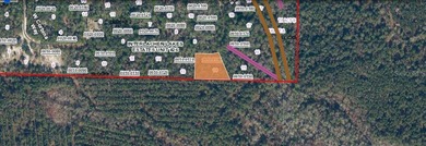 Georges Lake Lot For Sale in Florahome Florida