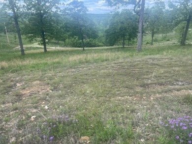 Lake Lot For Sale in Golden, Missouri