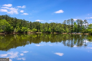 Private Waterside Retreat on Nearly 3 Acres Minutes from Major - photo 5