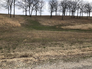 Lake Lot For Sale in Golden, Missouri