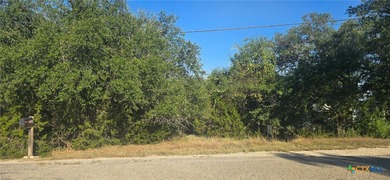 Lake Lot For Sale in Canyon Lake, Texas