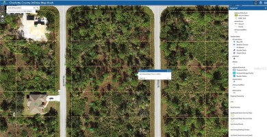 Great property for sale in Port Charlotte, that is conveniently - photo 3
