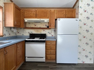 Whether you're looking for a low maintenance year round home or - photo 28