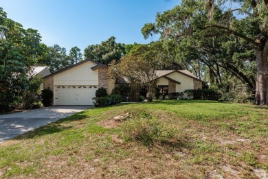 Lake Home Sale Pending in Odessa, Florida