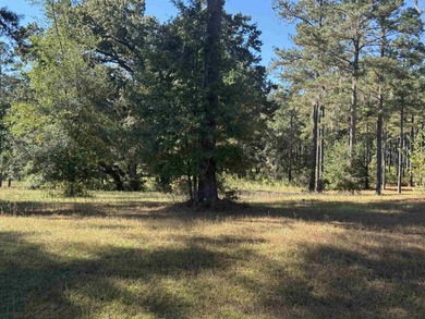 (private lake, pond, creek) Lot For Sale in Tallahassee Florida