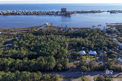 Almost 1/2 acre vacant land on the Island! Recently mulched for - photo 4