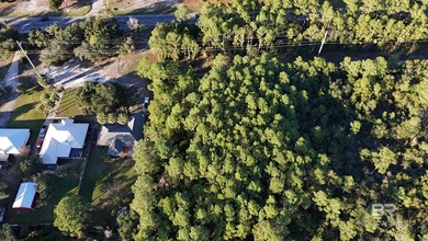 Almost 1/2 acre vacant land on the Island! Recently mulched for - photo 6