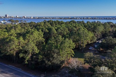 Almost 1/2 acre vacant land on the Island! Recently mulched for - photo 8