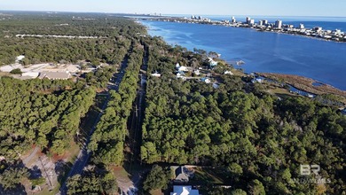 Almost 1/2 acre vacant land on the Island! Recently mulched for - photo 10