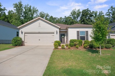 Lake Home For Sale in Charlotte, North Carolina