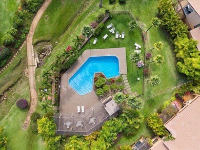 Enjoy stunning panoramic Ocean, Outer Island, and Haleakala - photo 30