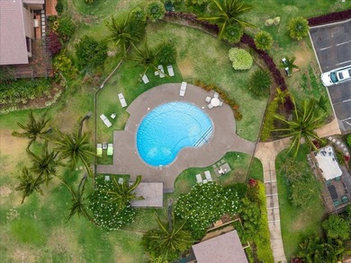 Enjoy stunning panoramic Ocean, Outer Island, and Haleakala - photo 32