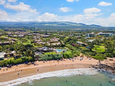 Enjoy stunning panoramic Ocean, Outer Island, and Haleakala - photo 34