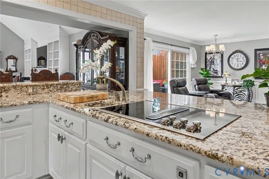 SALISBURY BEAUTY! Luxury, maintenance-free living with beautiful - photo 25