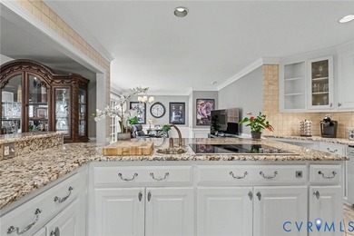SALISBURY BEAUTY! Luxury, maintenance-free living with beautiful - photo 26