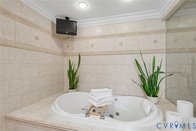 SALISBURY BEAUTY! Luxury, maintenance-free living with beautiful - photo 37