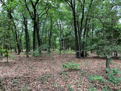 EXPERIENCE THE *HILLS OF ATHENS* - Approximately 45.694 rolling - photo 3