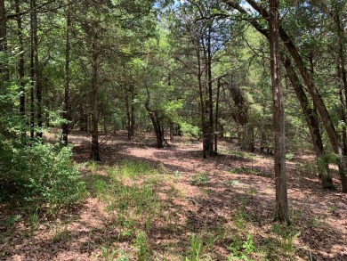 Lake Acreage For Sale in Athens, Texas