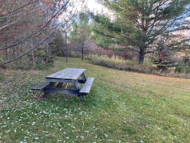 Lake Lancer Lot For Sale in Gladwin Michigan