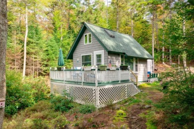 Ashuelot Pond Acreage For Sale in Washington New Hampshire