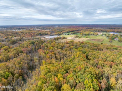 Discover 17.37 wooded acres of commercially zoned land in the - photo 15