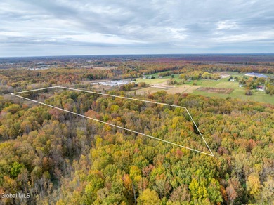 Discover 17.37 wooded acres of commercially zoned land in the - photo 16