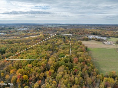Discover 17.37 wooded acres of commercially zoned land in the - photo 18
